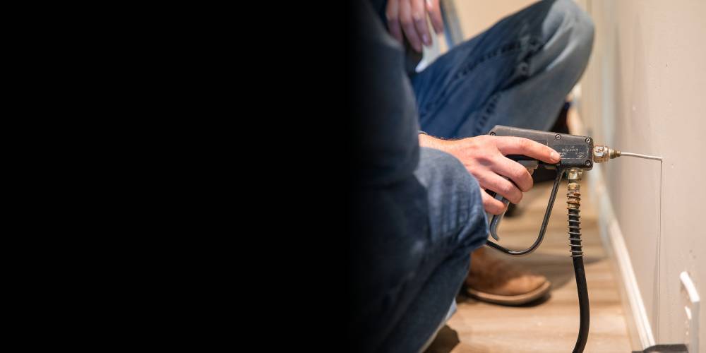 Kammerjäger in der Nähe: Ihr Partner für nachhaltige Schädlingsbekämpfung